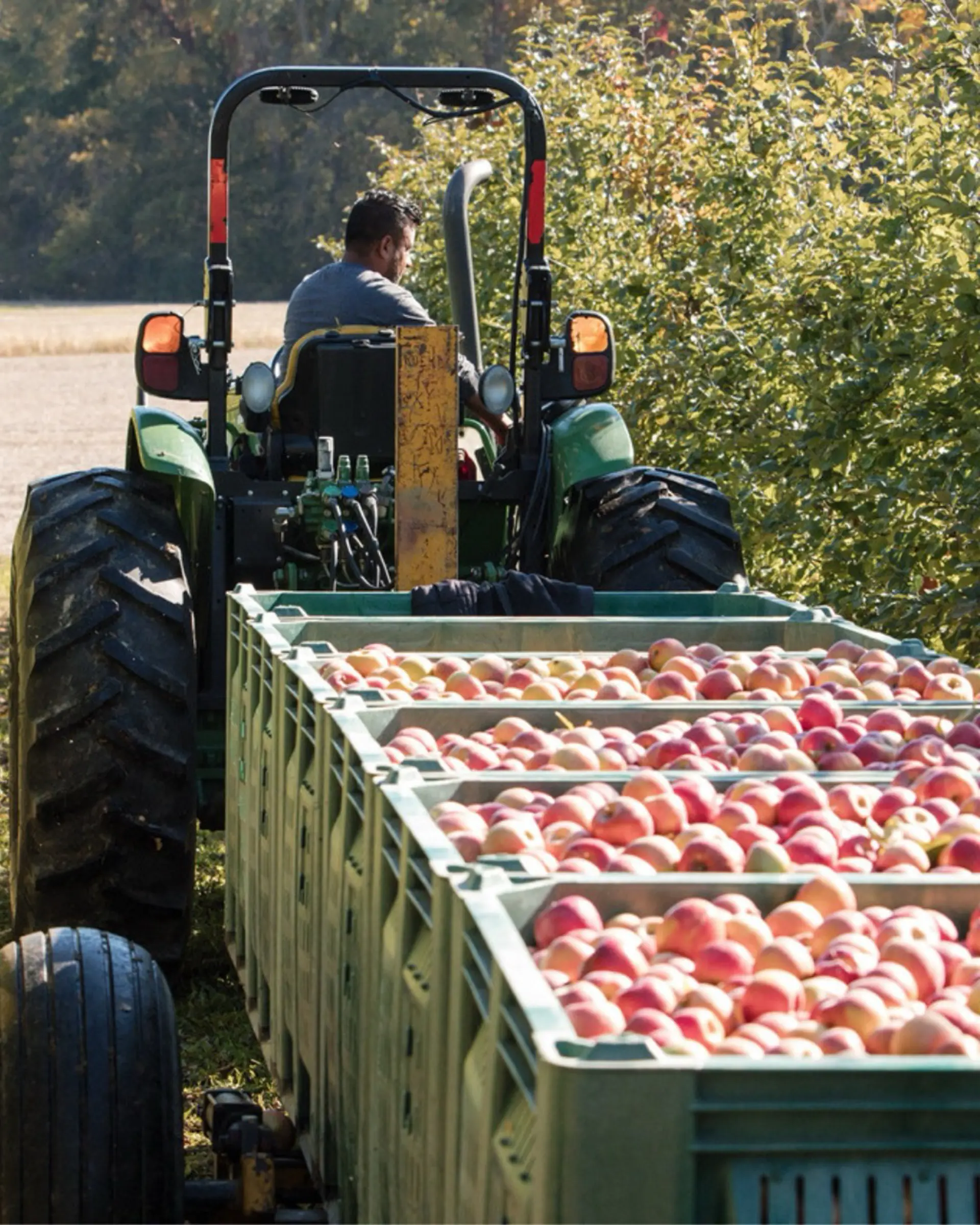 Courtesy Quarry Hill Orchards apples peaches cherries fruit northeast ohio 