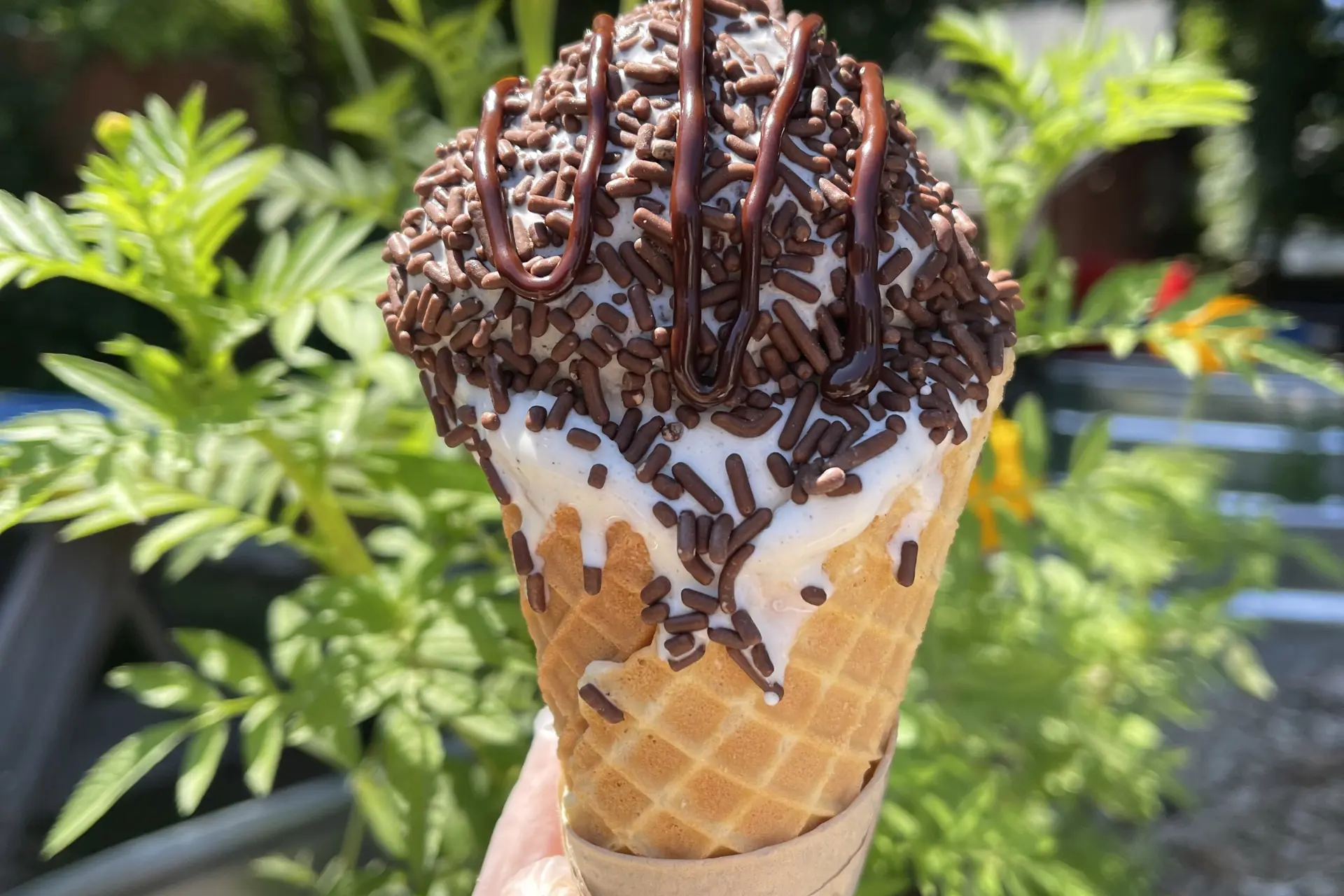 Mason's Creamery Ohio City ice cream ramen