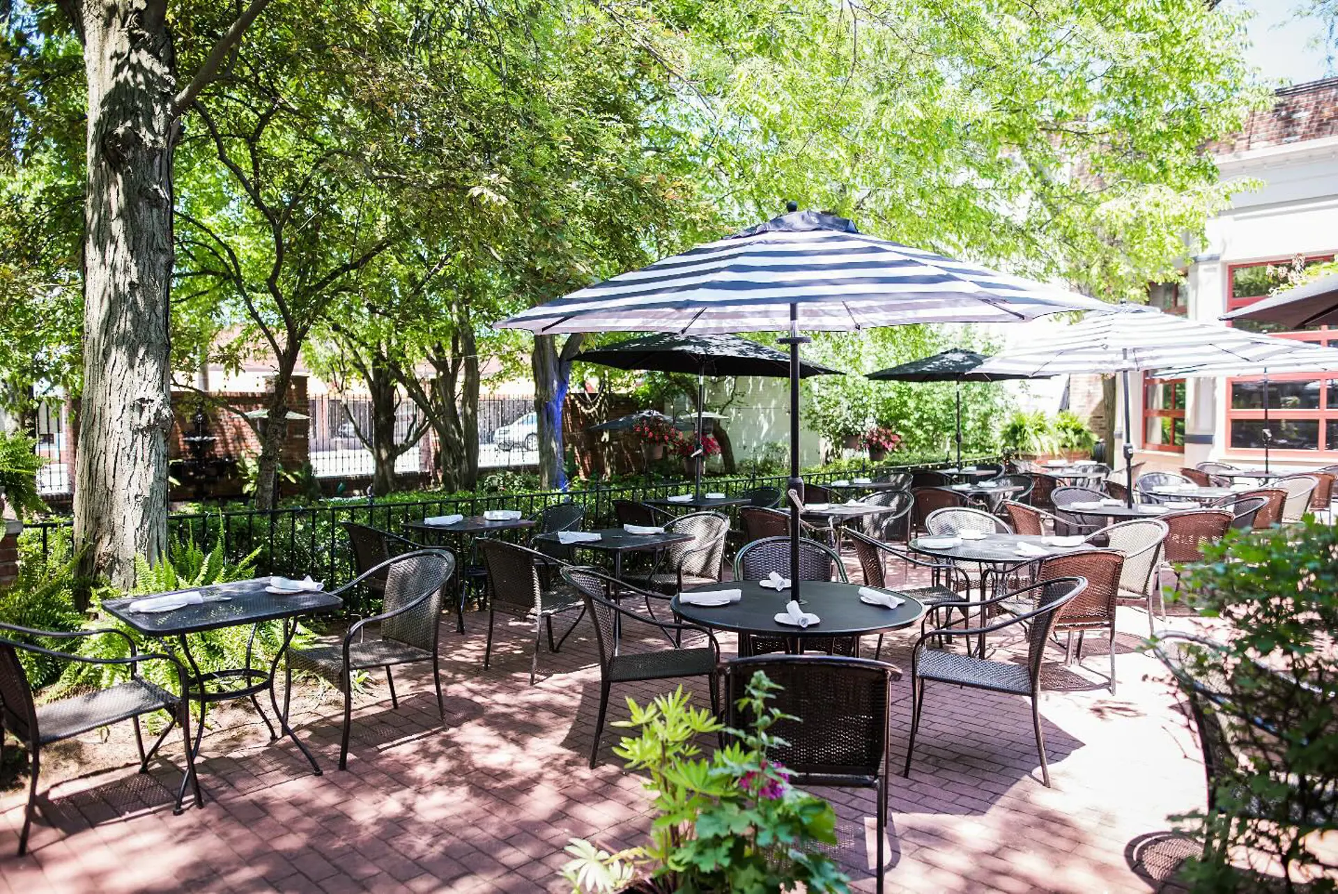 Courtesy Georgetown Vosh