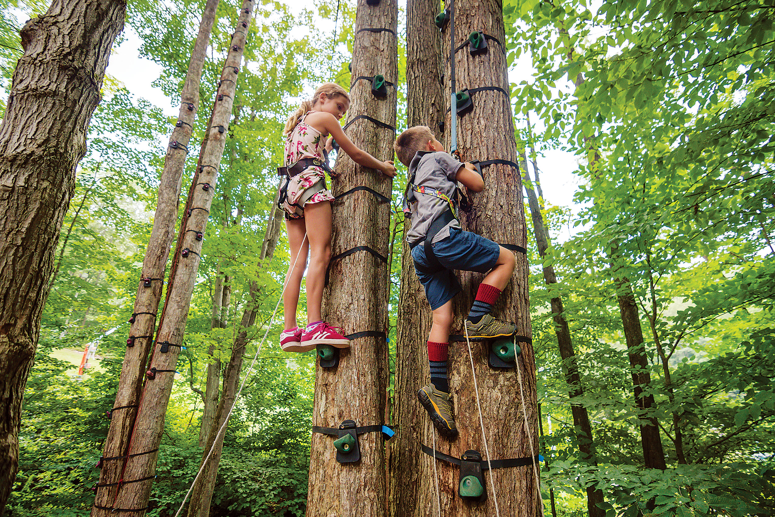 Sky High Adventure Park in Ellicottville, New York (photo courtesy of destination) Sky High Adventure Park in Ellicottville, New York (photo courtesy of destination)