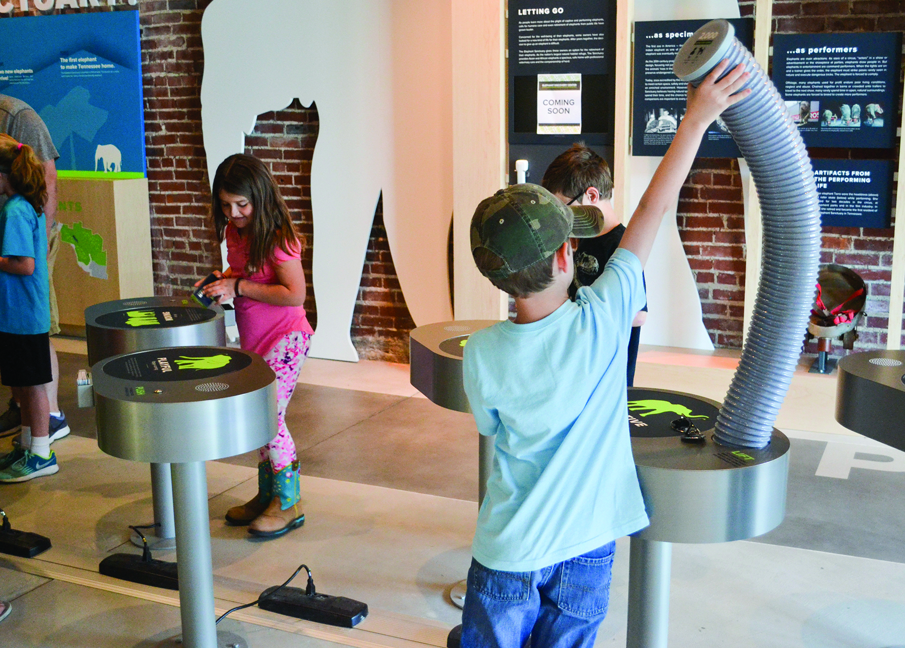 The Elephant Discovery Center in Hohenwald Tennessee (courtesy of The Elephant Sanctuary) The Elephant Discovery Center in Hohenwald Tennessee (courtesy of The Elephant Sanctuary)