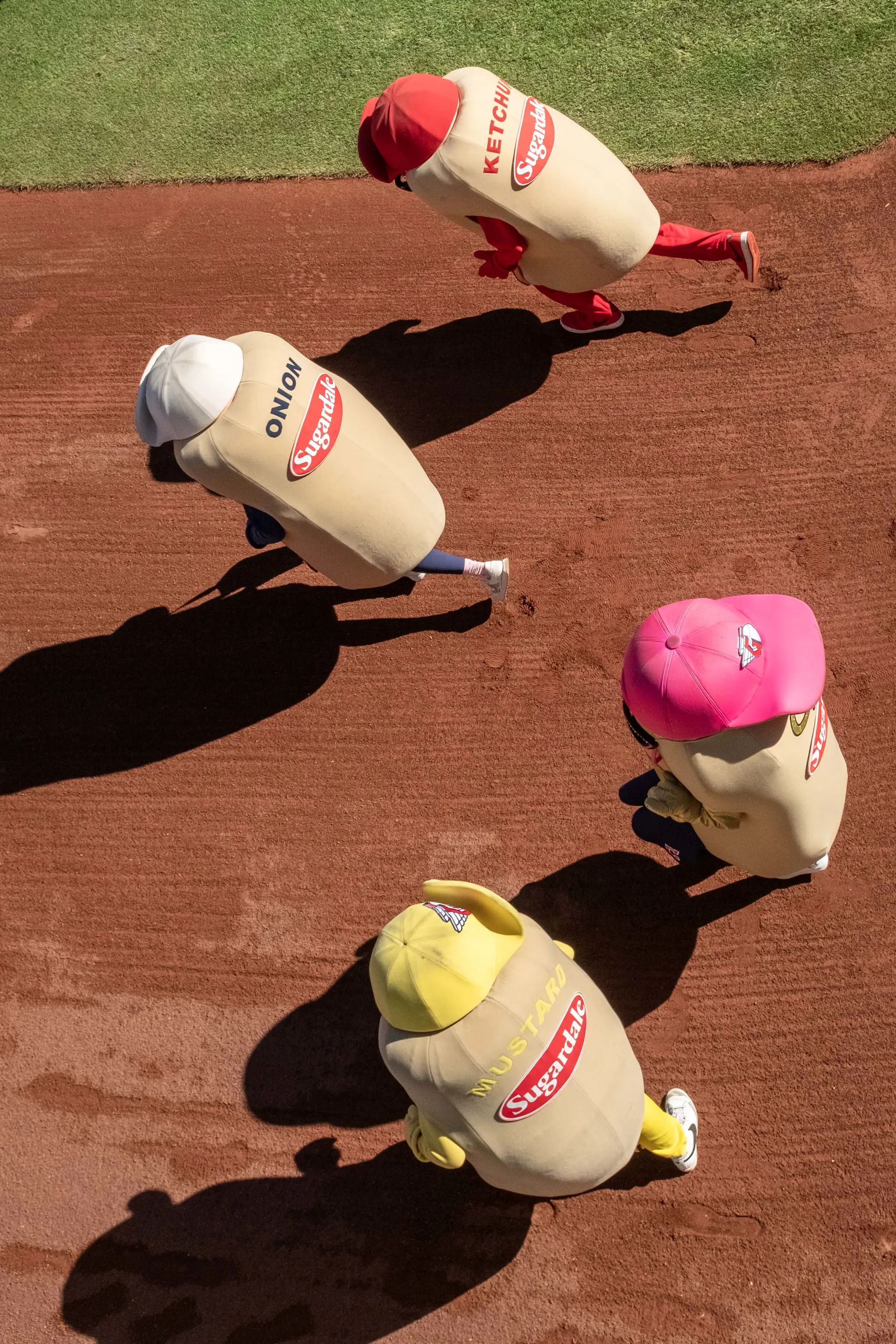 Cleveland Guardians Playoff Wild Card 2025