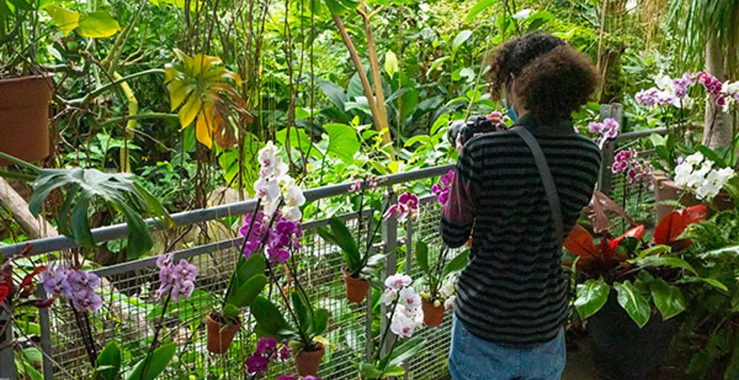 Robert Perkoski Photography.