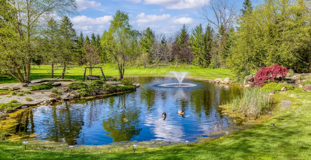 backyard pond