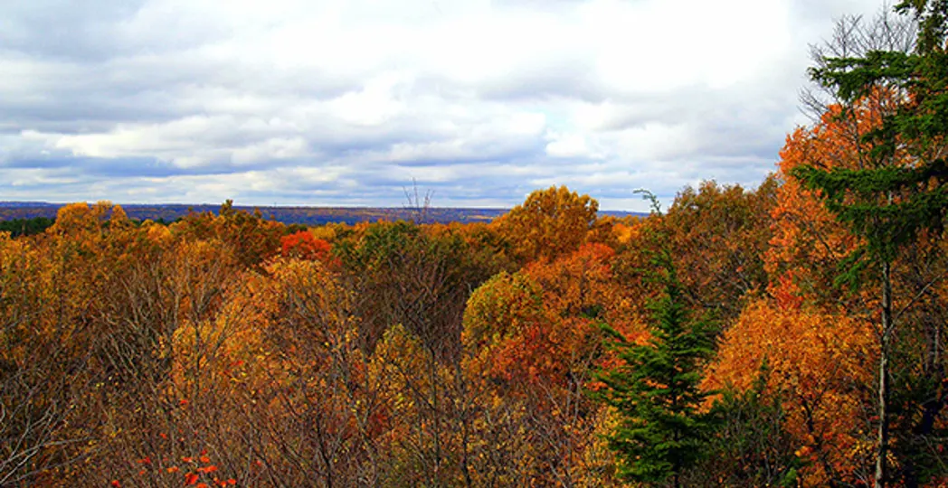 Carl Shepard Photography