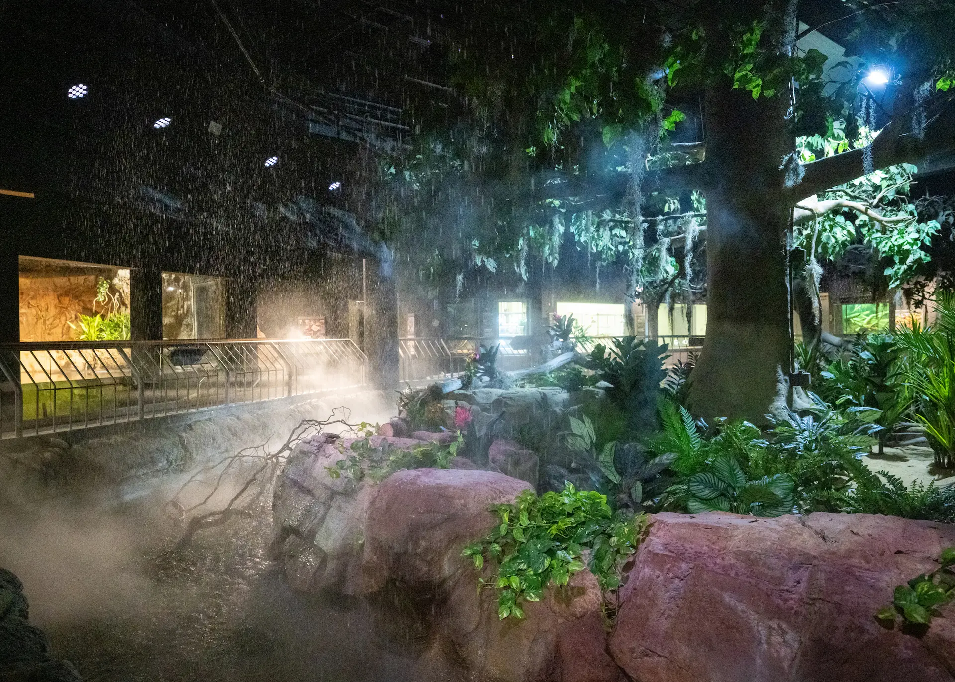 Rainforest room of Primate Forest