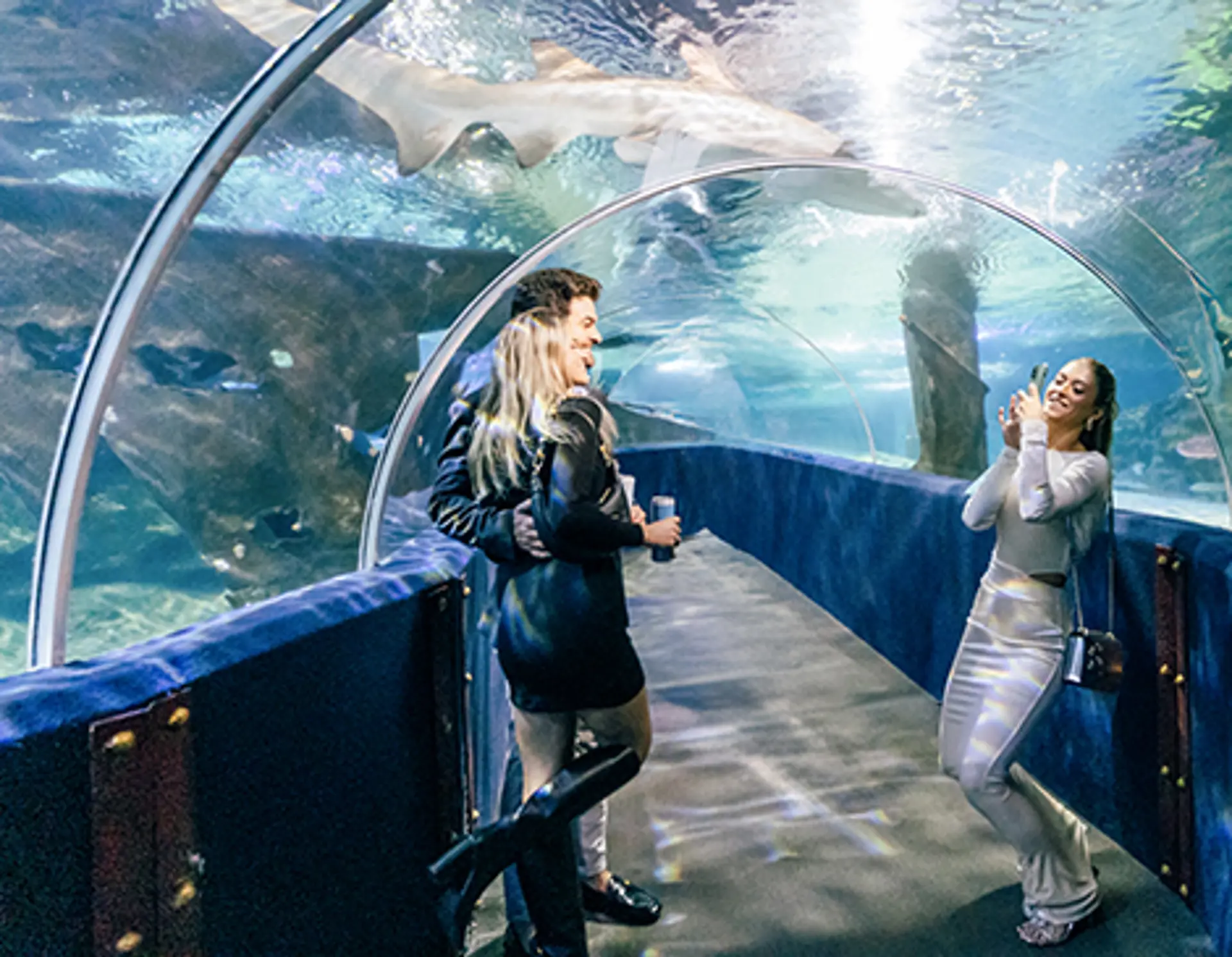 Window's On The River Aquarium NYE Party Celebration