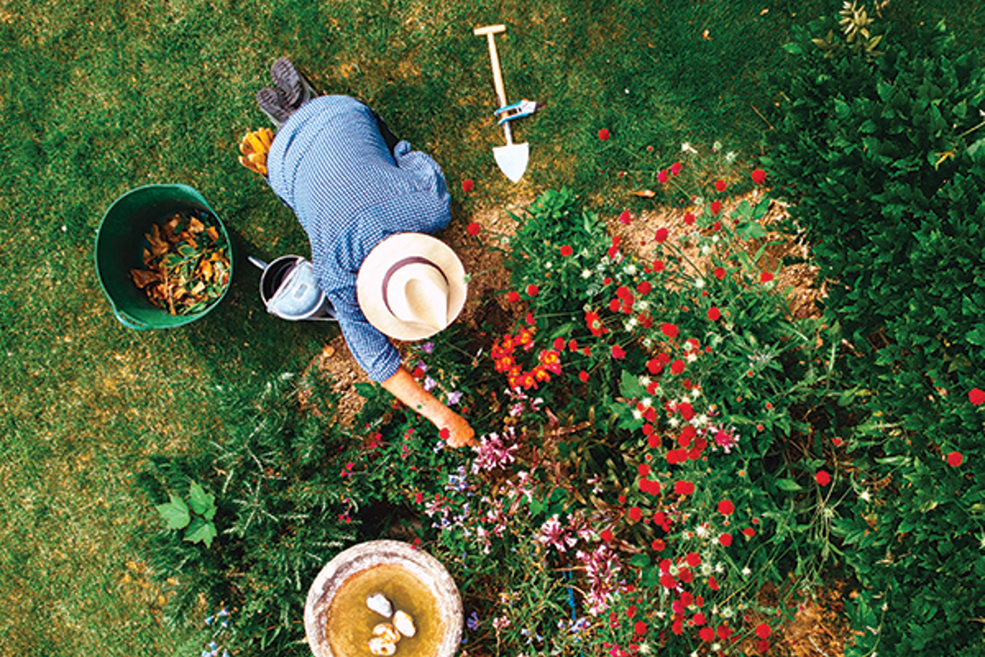 How to Make an Environmental Difference in Your Own Cleveland Backyard