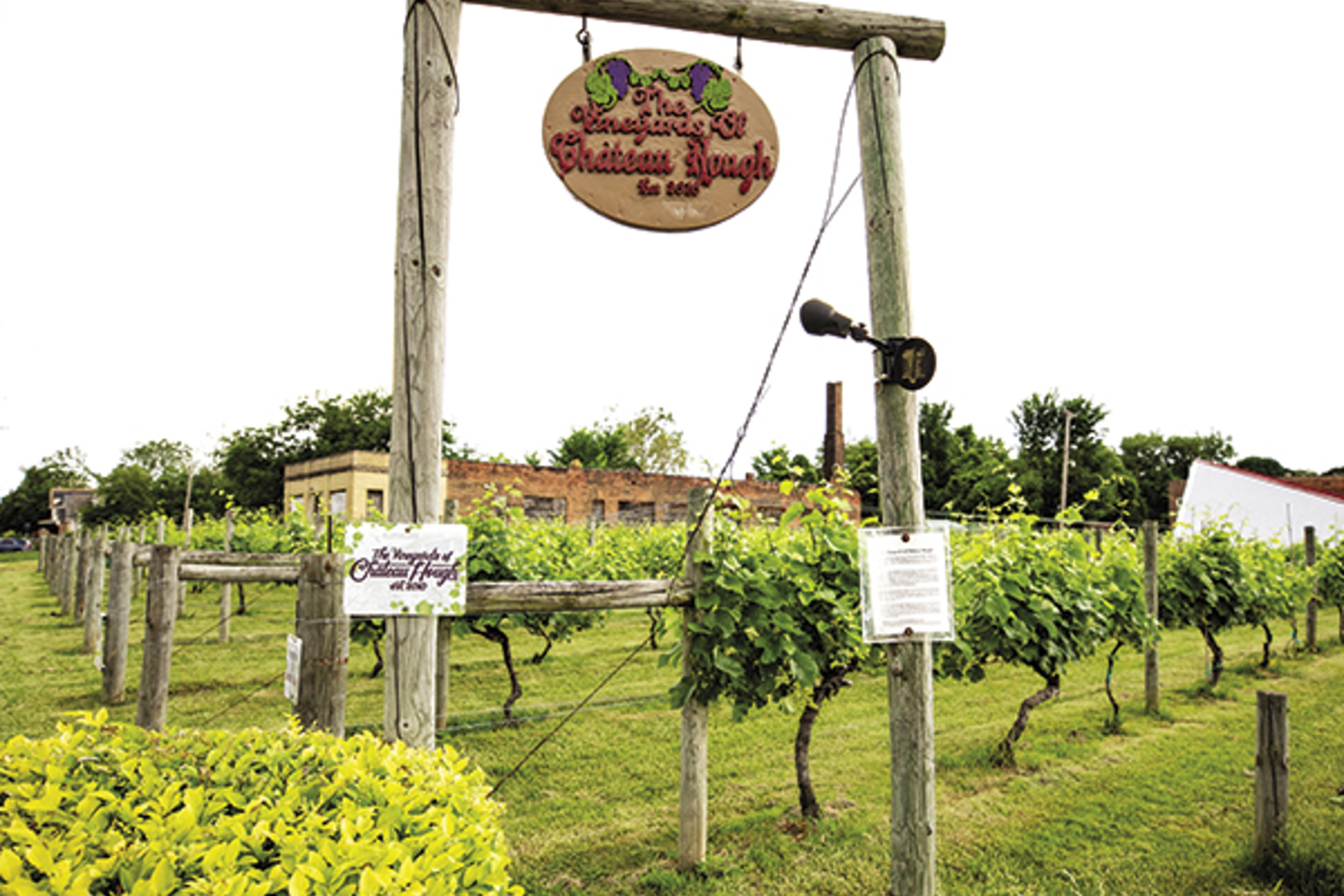 Cleveland Wineries: Chateau Hough Brings Positive Attention To The Hough Neighborhood