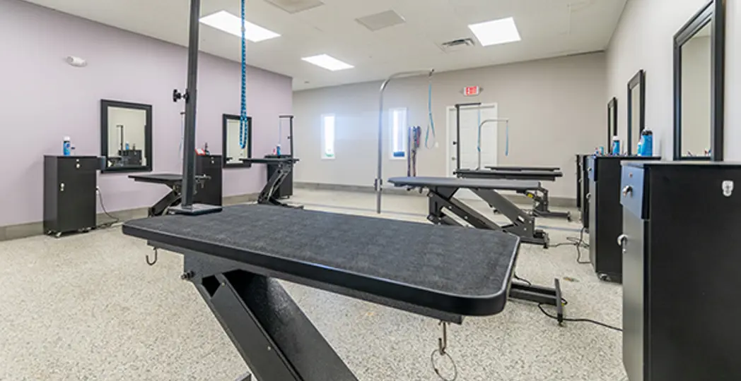 Courtesy Sublime Pet Spa