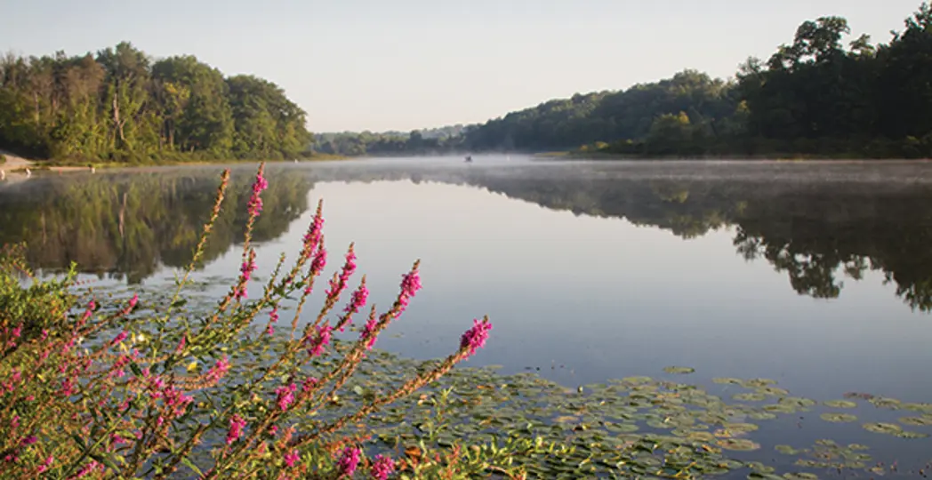 Laura Watilo Blake, Courtesy Heritage Farms, Courtesy Sawdust Farm Camp, Christina Rufo