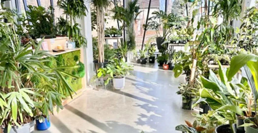 Courtesy Urban Planting Cleveland, Courtesy Stump Van Aken, Courtesy Lori Switaj, Recreational Pots and Plants, Courtesy Lakewood Plant Company, Courtesy Homeoniship, Courtesy Hendricks Designs