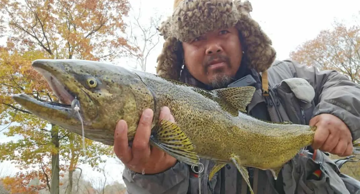 Northeast Ohio Anglers Saw an Uptick in Rare Salmon This Fall Season