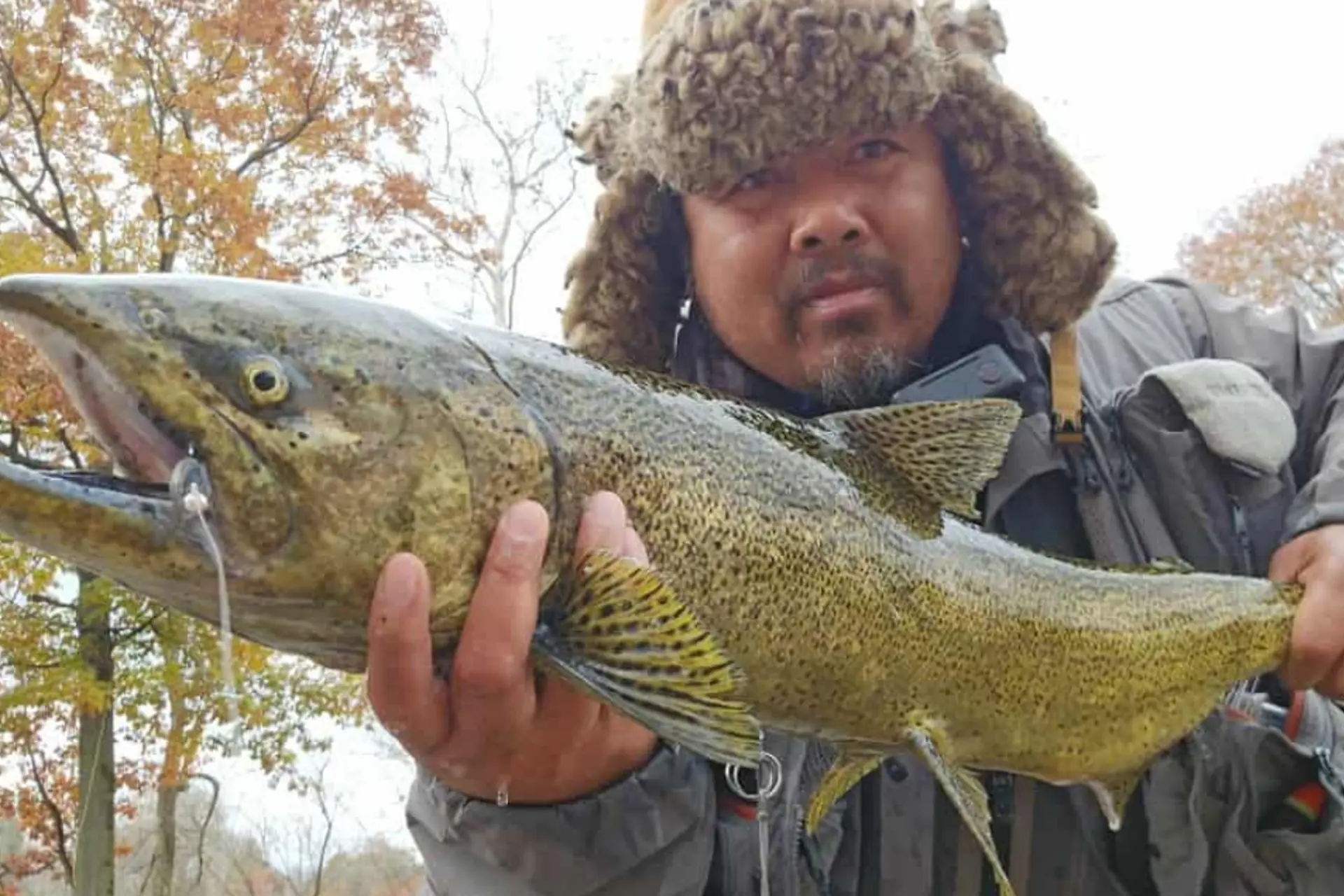 Northeast Ohio Anglers Saw an Uptick in Rare Salmon This Fall Season