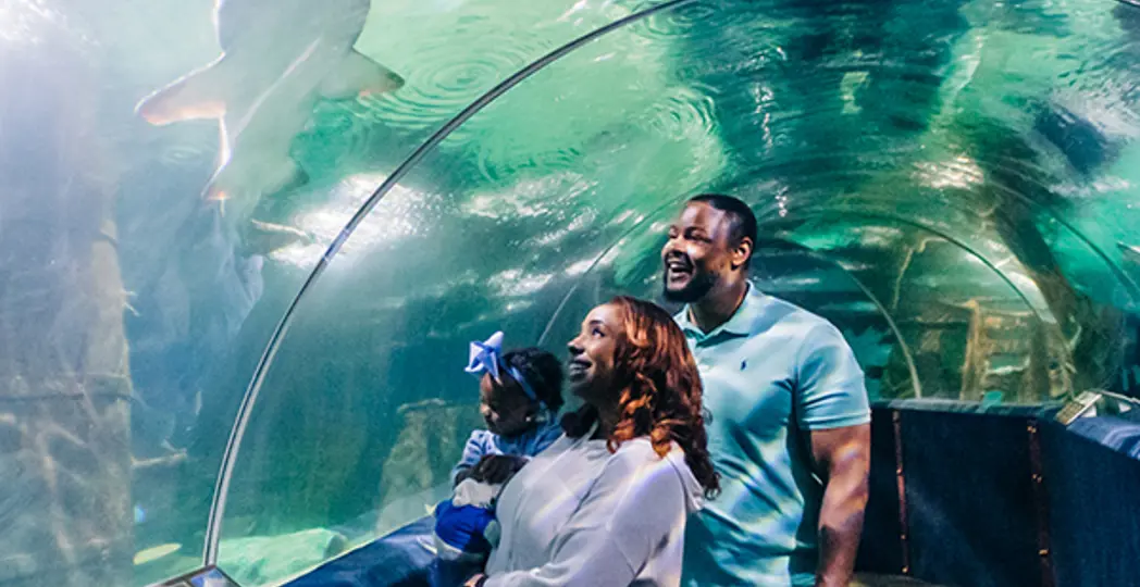 Courtesy Greater Cleveland Aquarium