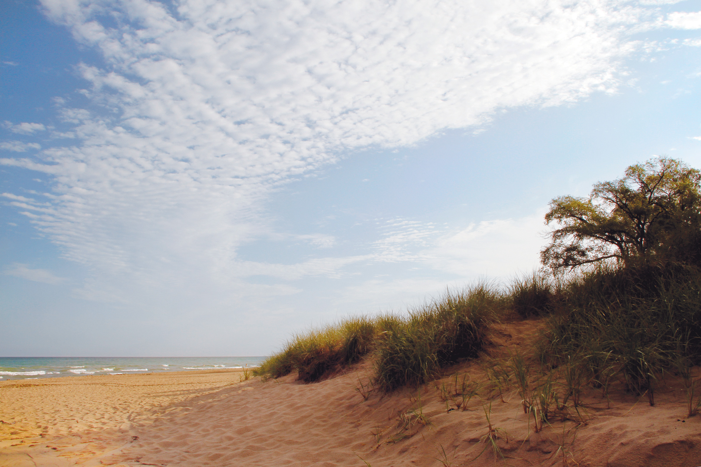 Indiana Dunes National Park in Porter, Indiana (photo courtesy of National Park Service) Indiana Dunes National Park in Porter, Indiana (photo courtesy of National Park Service)