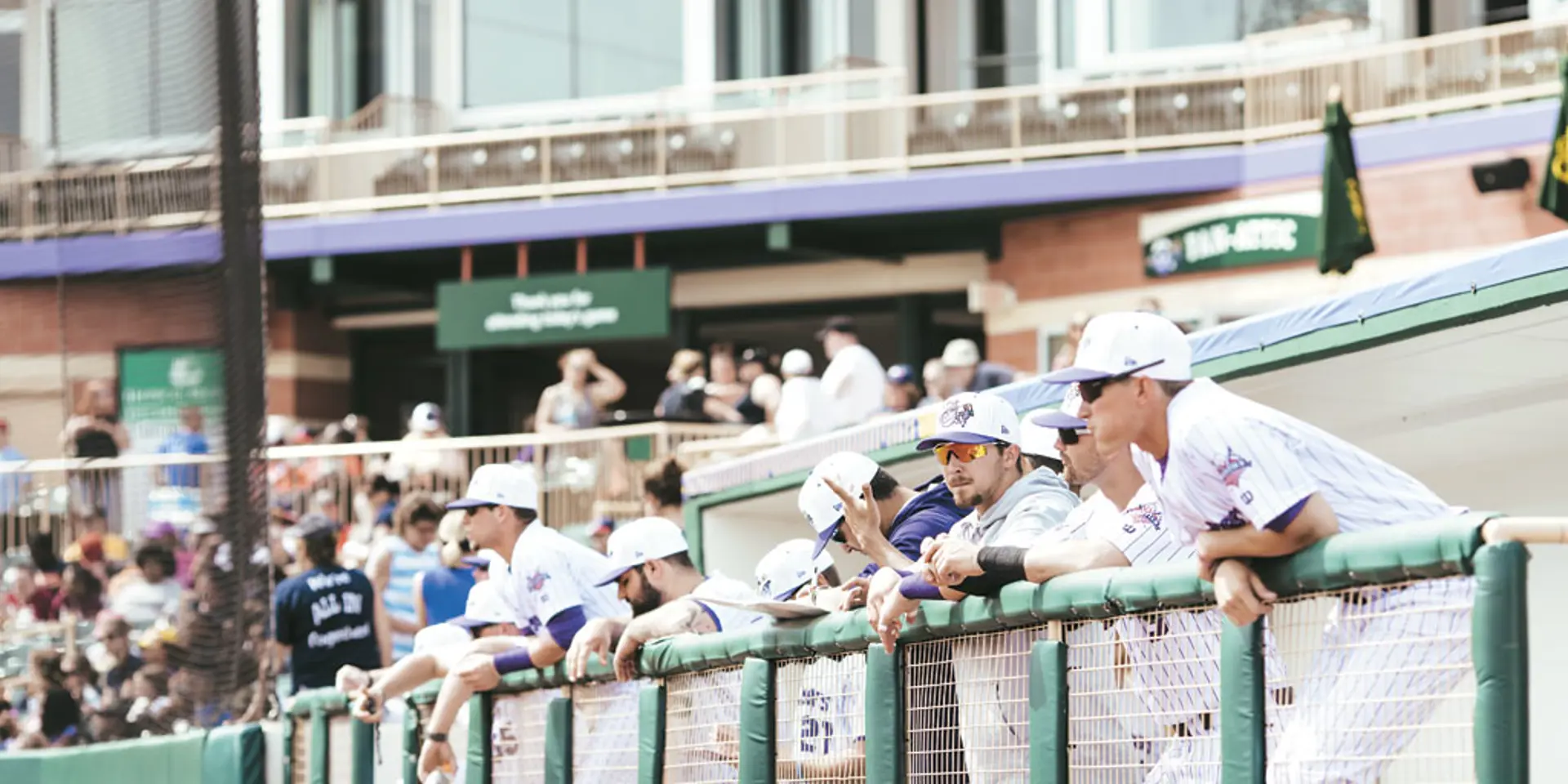 With a new angry grape logo, purple and white uniforms and wacky promotions, the Kramigs want to attract more fans to the 3,500-seat Sprenger Stadium in Avon.  