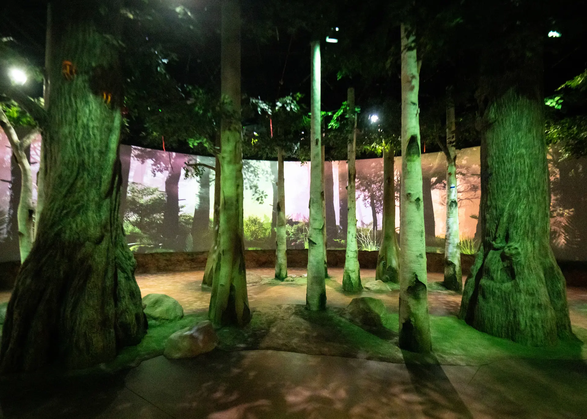 Primate Forest entryway