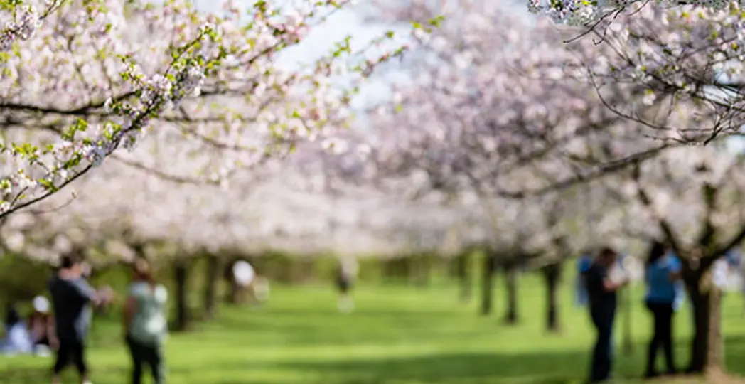 Courtesy Erik Drost via Flickr