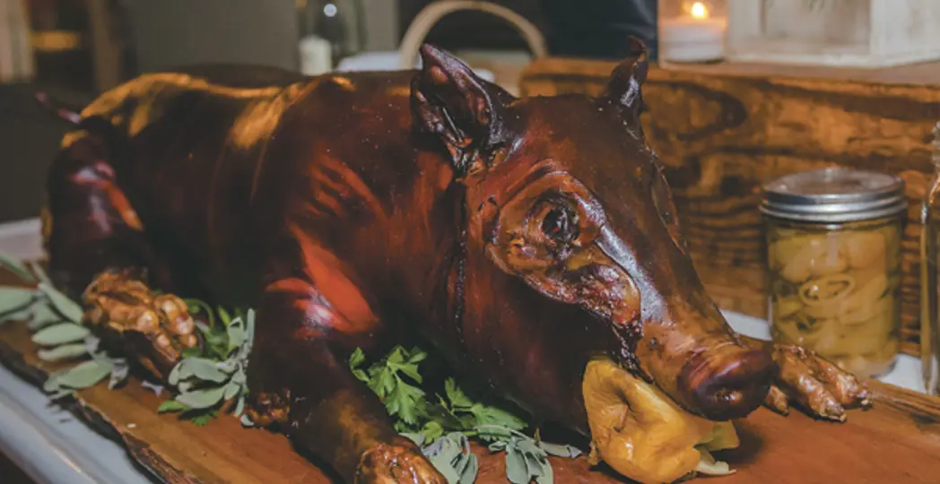 Robert Howard Photography