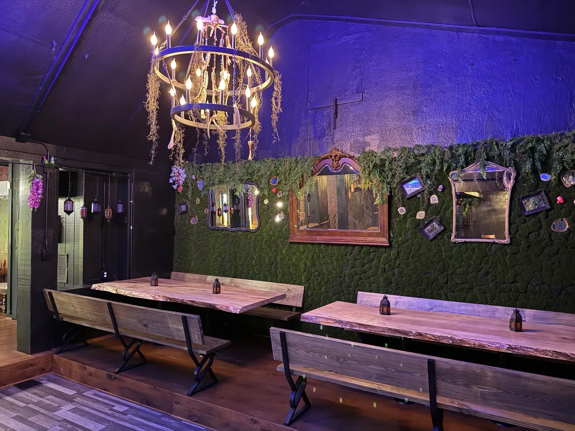Witch Doctor, a Botanically Themed Cocktail Lounge, Opens in Old Brooklyn in September.    Photographed by Doug Trattner