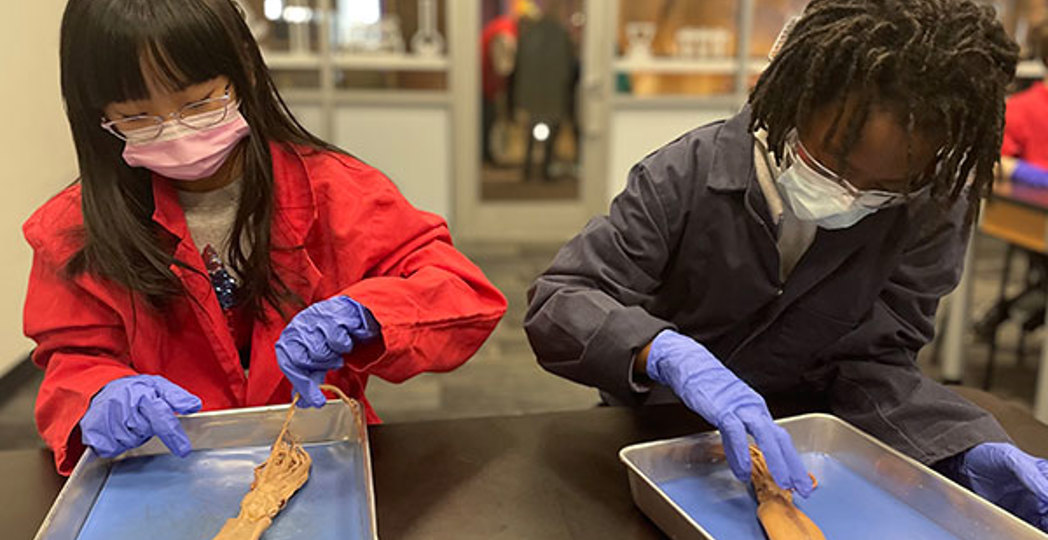 Courtesy of Great Lakes Science Center