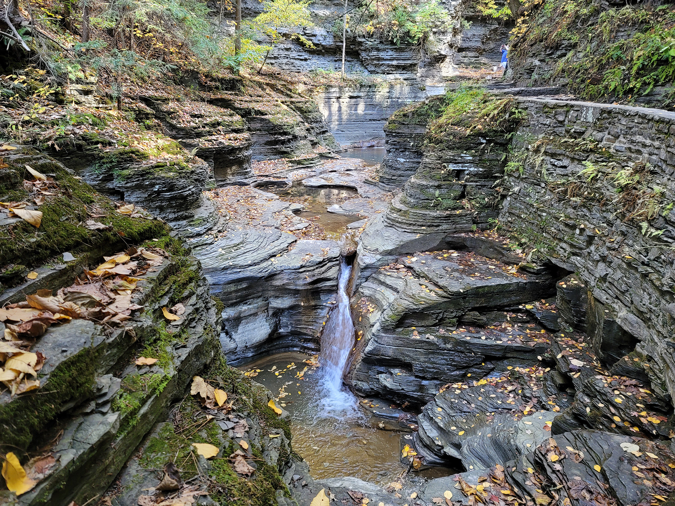 Robert H. Treman State Park in Ithaca, New York (photo by Michael Grandeau) Robert H. Treman State Park in Ithaca, New York (photo by Michael Grandeau)