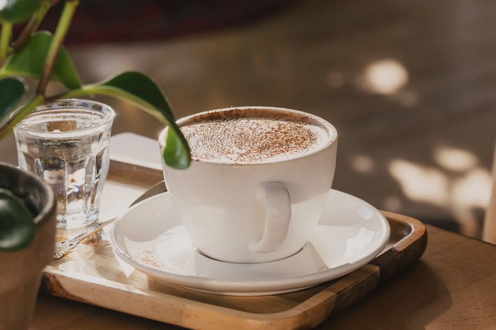 Rising Star Coffee Roasters