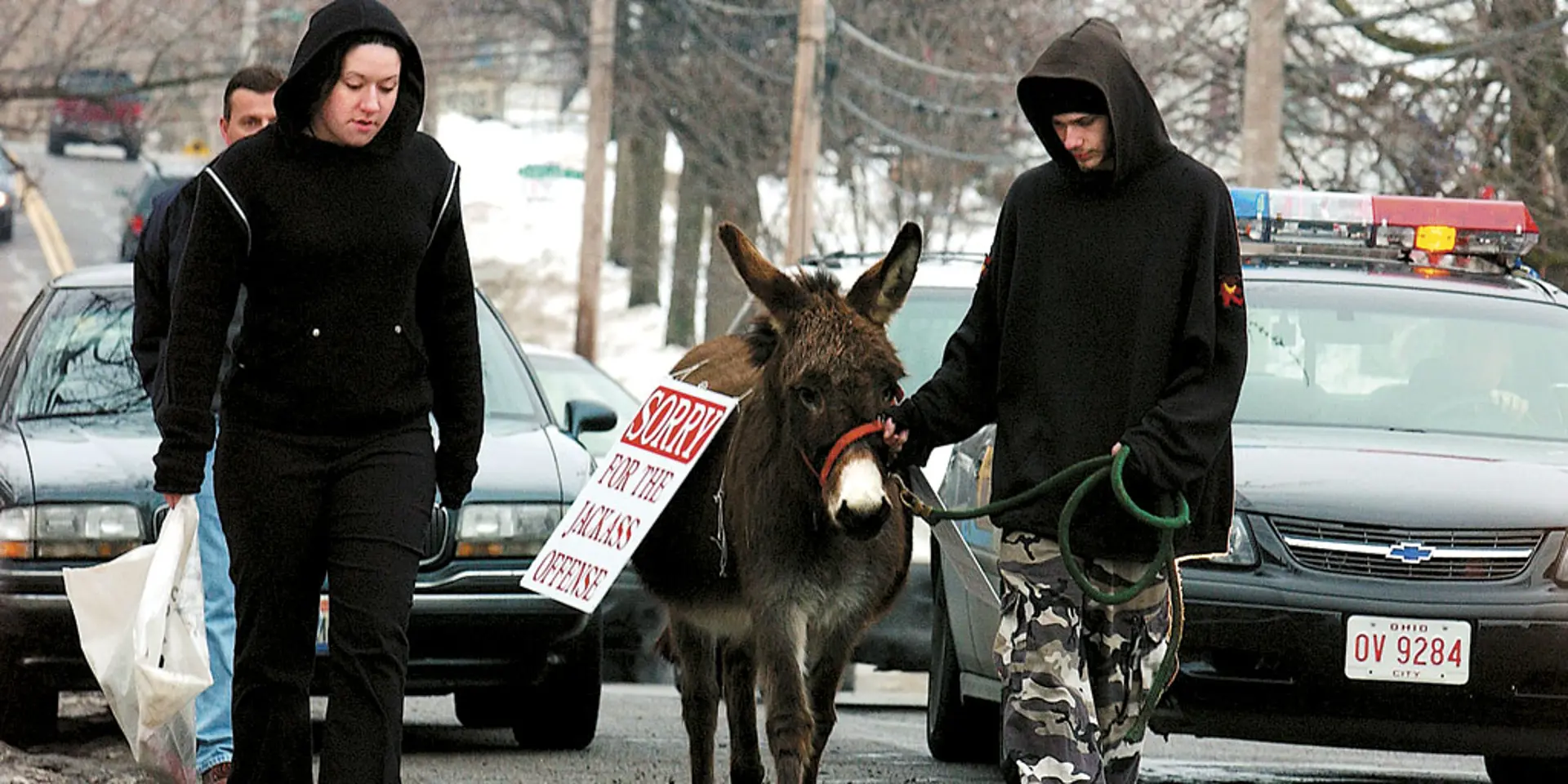 Judge Michael Cicconetti's creative sentences often involve an element of public shaming, such as making offenders lead a donkey through the streets. | AP PHOTO/THE PLAIN DEALER, MIKE LEVY