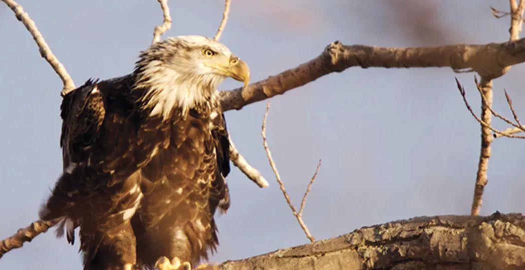 Courtesy Ohio Department of Natural Resources