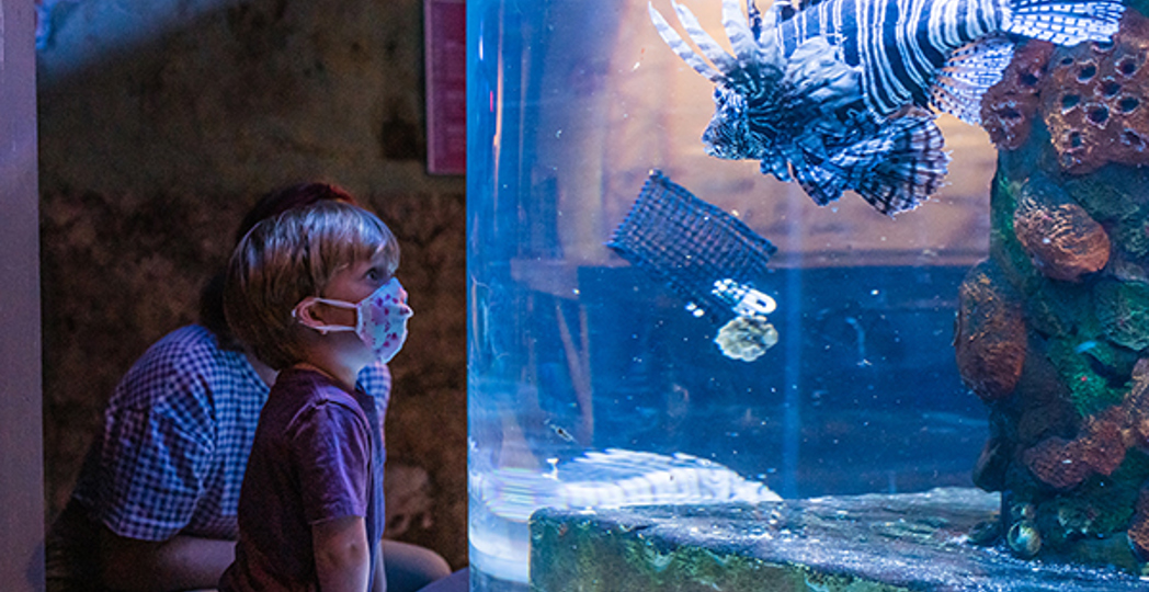 Courtesy Greater Cleveland Aquarium