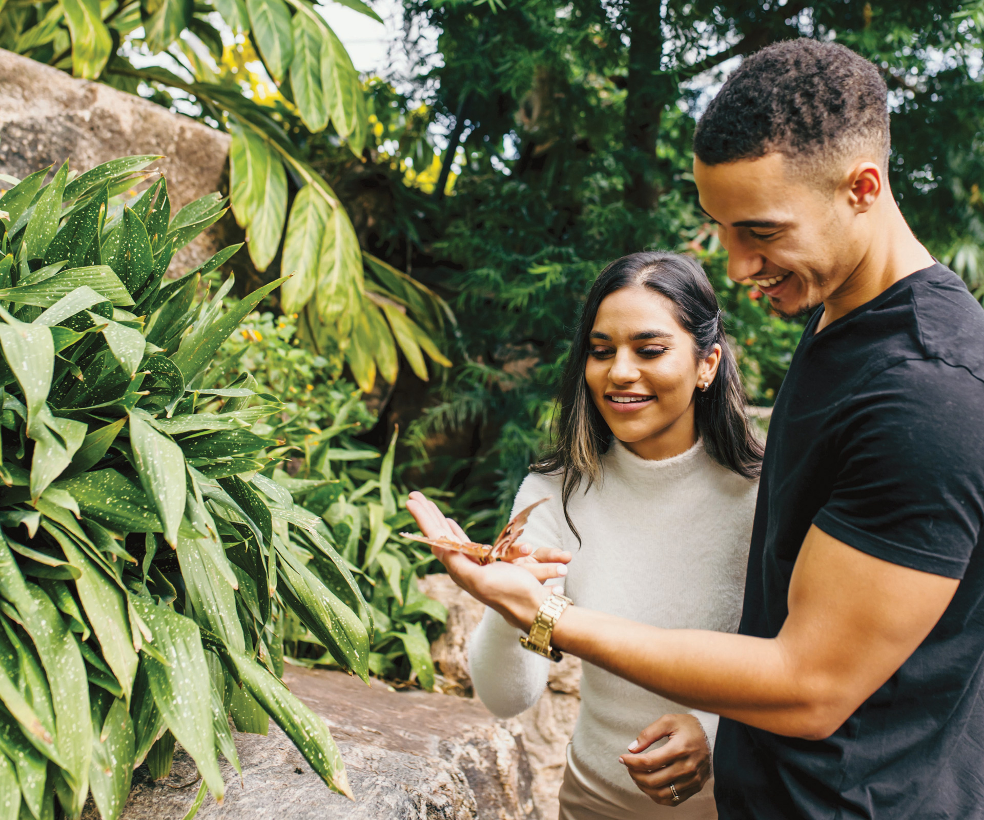Niagara Parks Butterfly Conservatory in Niagara Falls, Ontario (photo by Rob Anzit) Niagara Parks Butterfly Conservatory in Niagara Falls, Ontario (photo by Rob Anzit)