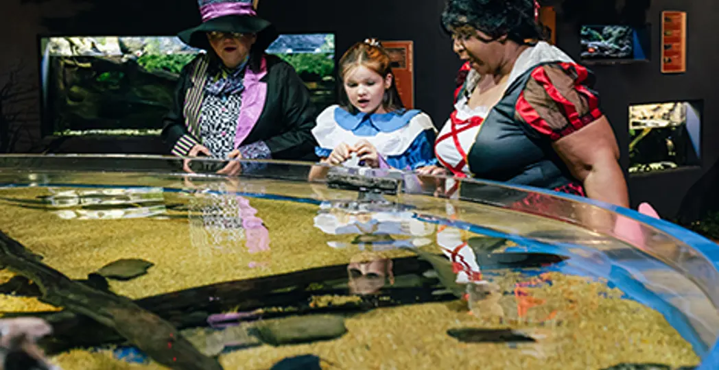 Courtesy Greater Cleveland Aquarium