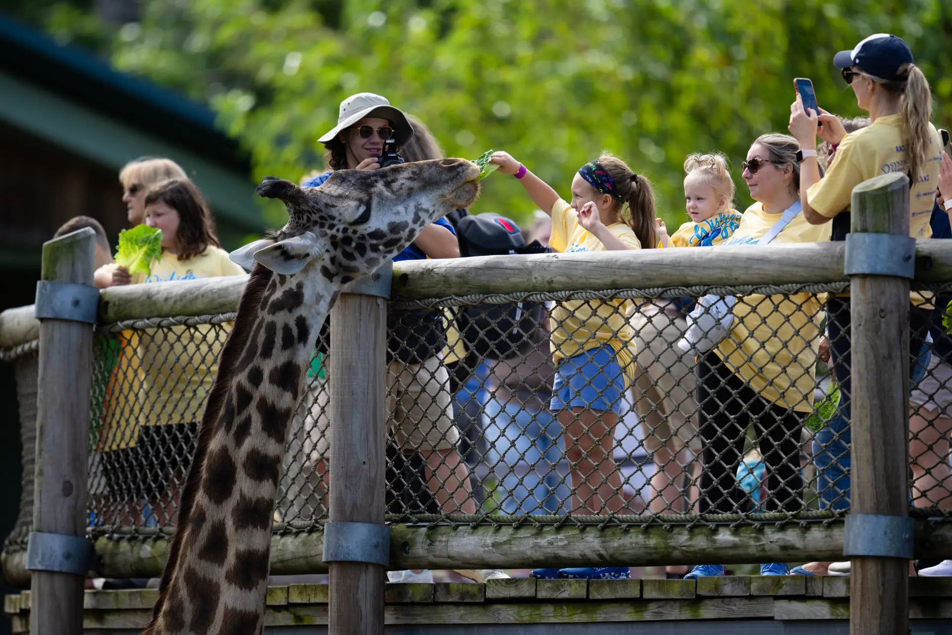 Animal encounter experience at Cleveland Metroparks Zoo. | PHOTO COURTESY ERIK DROST VIA FLICKR