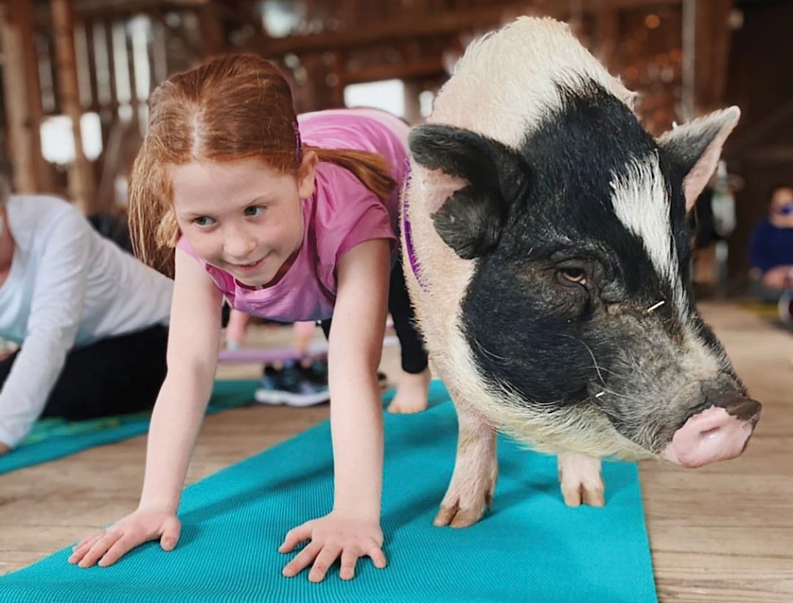 Oinking Acres Farm Rescue & Sanctuary in Brownsburg, Indiana (photo courtesy of Oinking Acres Farm Rescue & Sanctuary) Oinking Acres Farm Rescue & Sanctuary in Brownsburg, Indiana (photo courtesy of Oinking Acres Farm Rescue & Sanctuary)