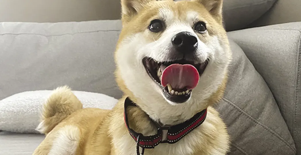 Courtesy Cleveland Magazine Staff