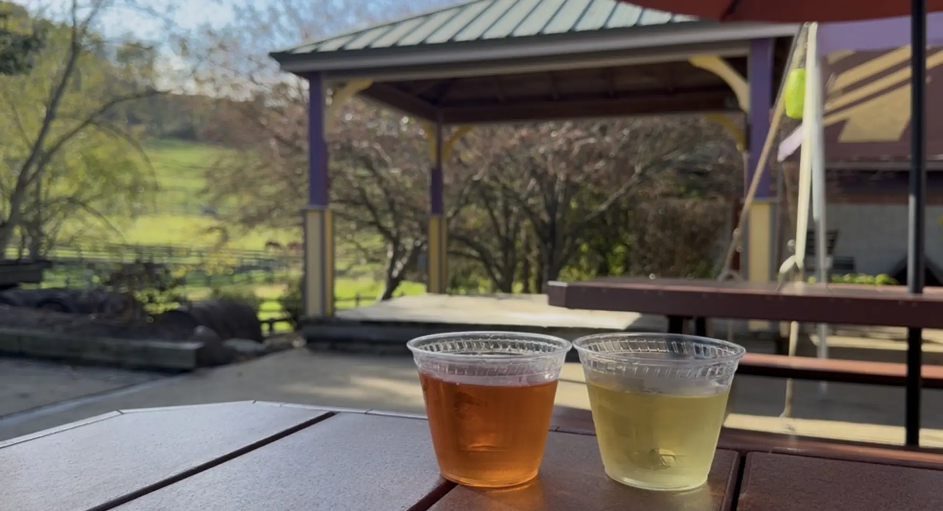 glasses of wine on a patio table