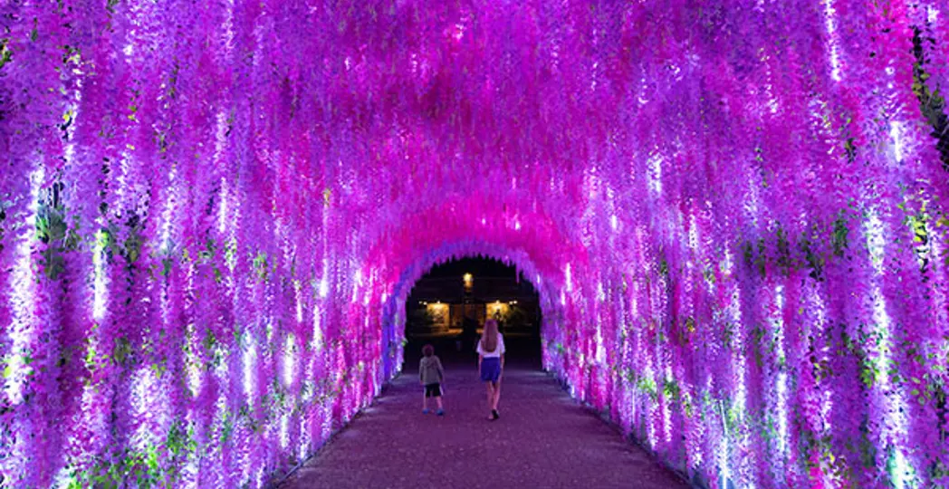 Courtesy of Cleveland Metroparks/Kyle Lanzer