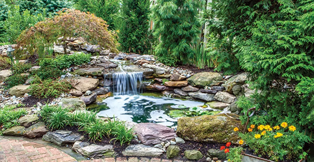 Courtesy DT Design & Project Management