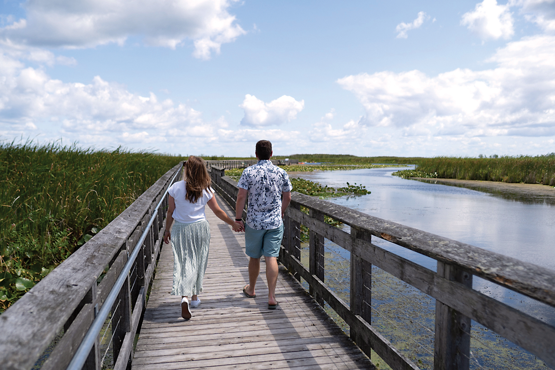 Pelee Island Boardwalk Pelee Island Boardwalk