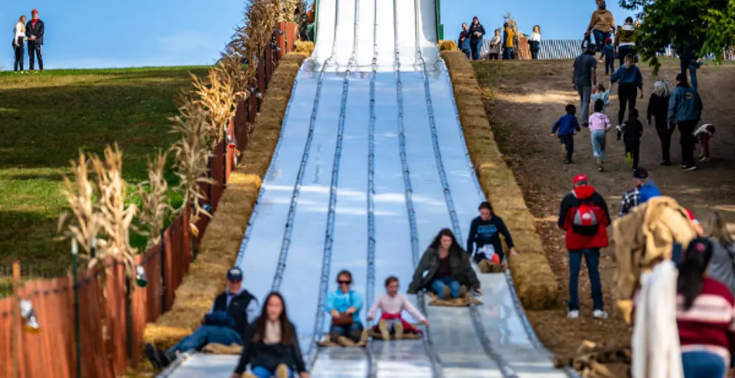 Courtesy Erik Drost via Flickr