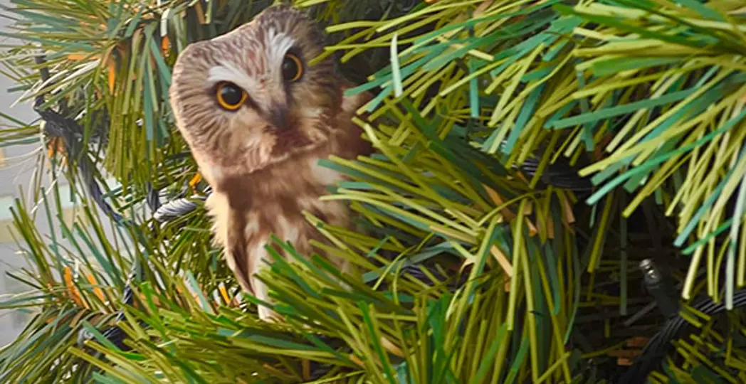 Courtesy Public Square