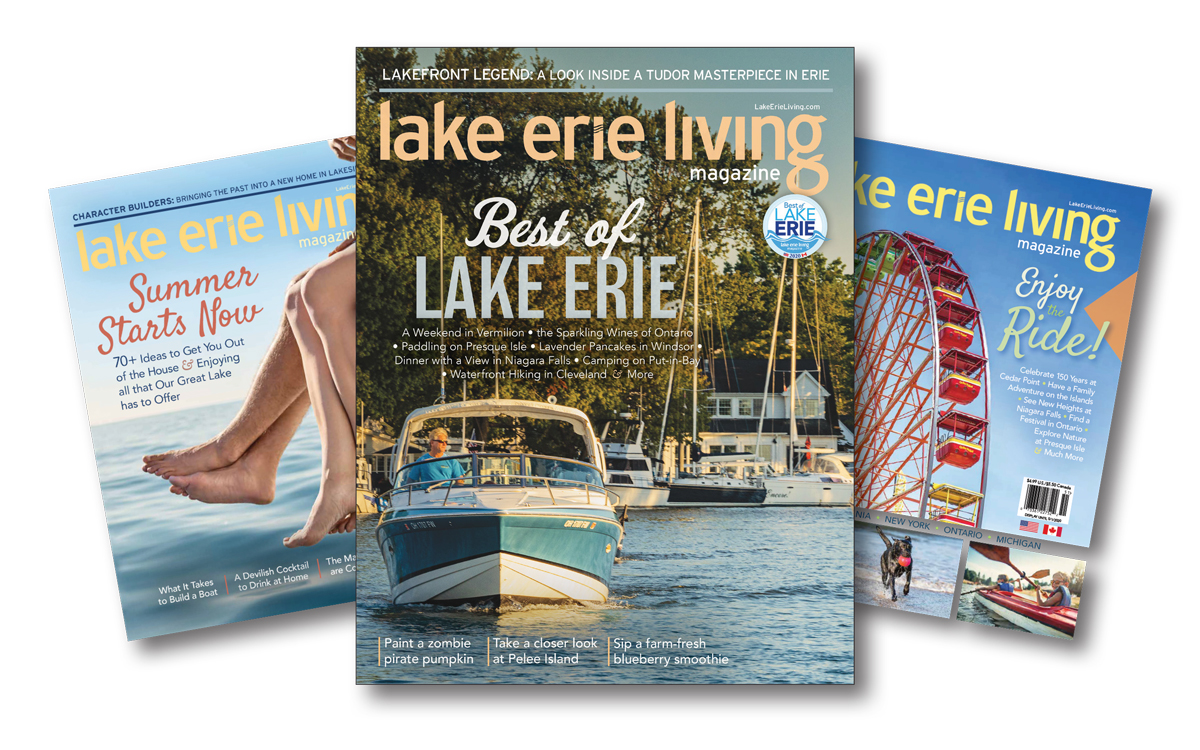 LEL Web Covers 2020 NEW