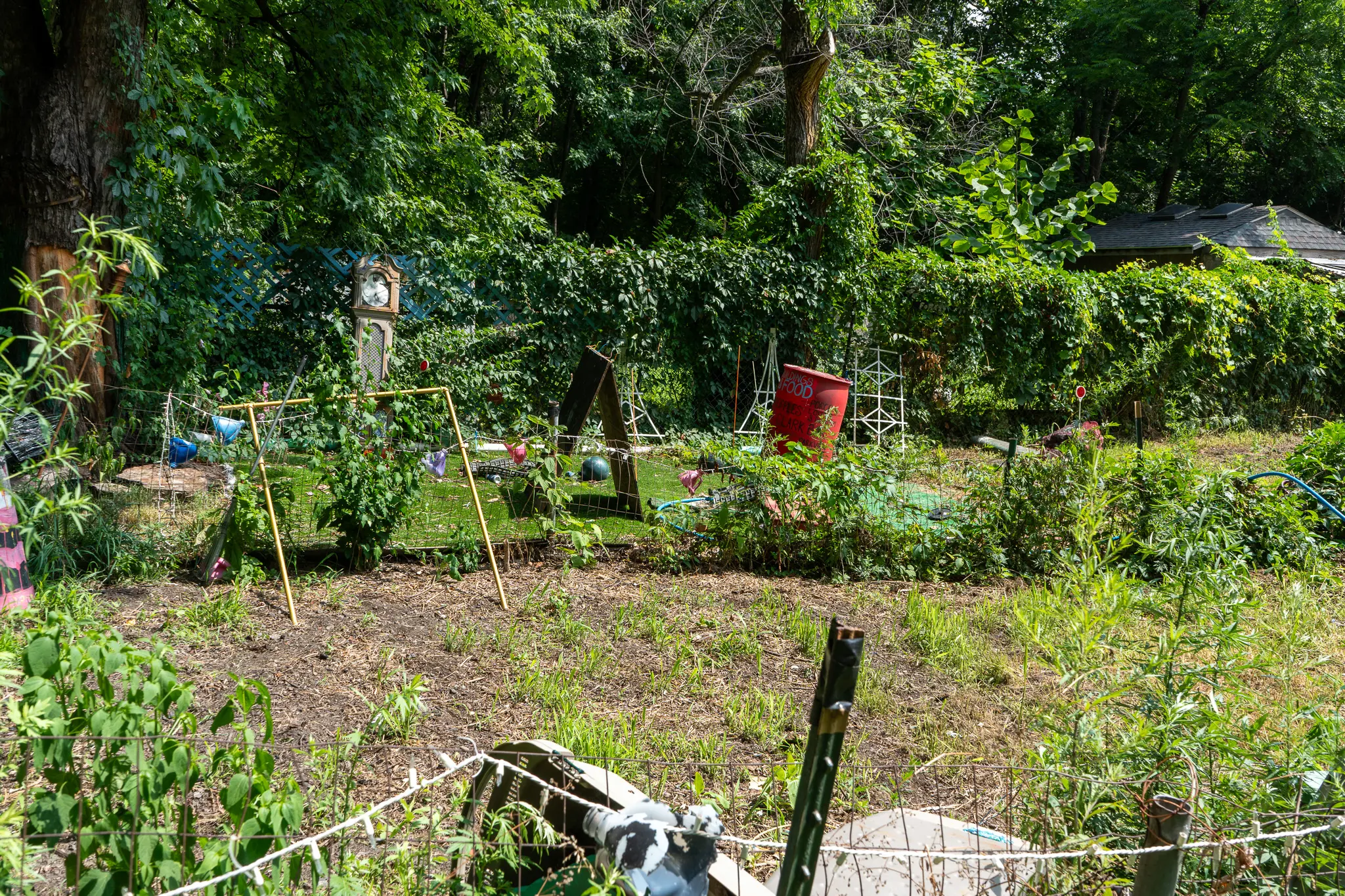 garden with supplies