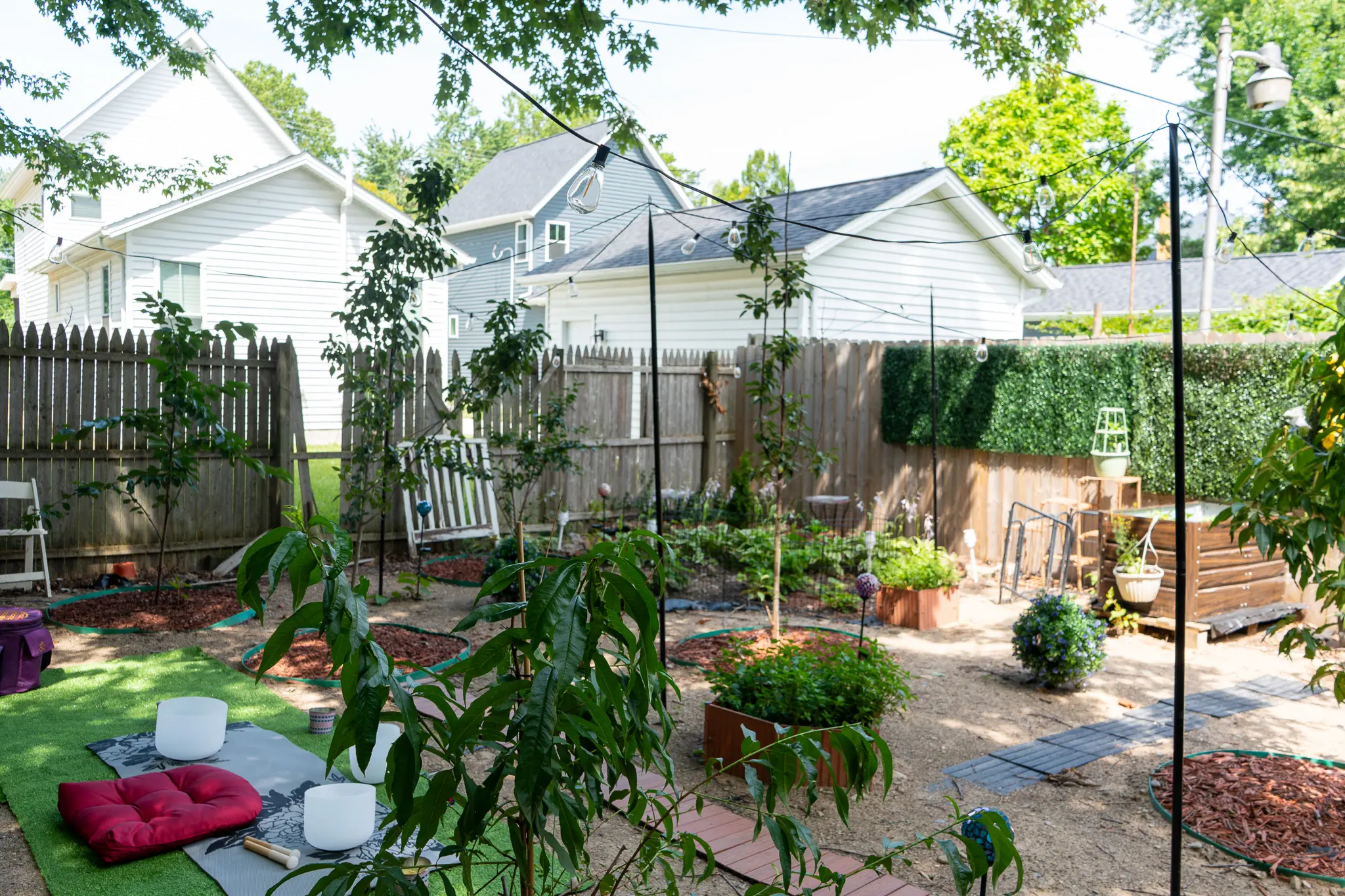 backyard garden