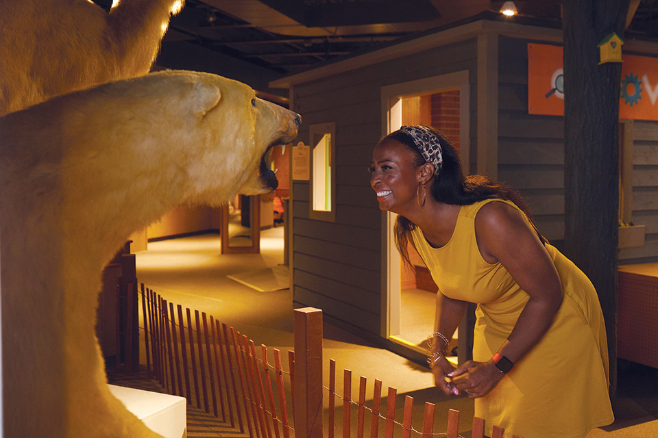 Woman looking at polar bear exhibit at Boonshoft Museum of Discovery in Dayton (photo courtesy of Boonshoft Museum of Discovery)