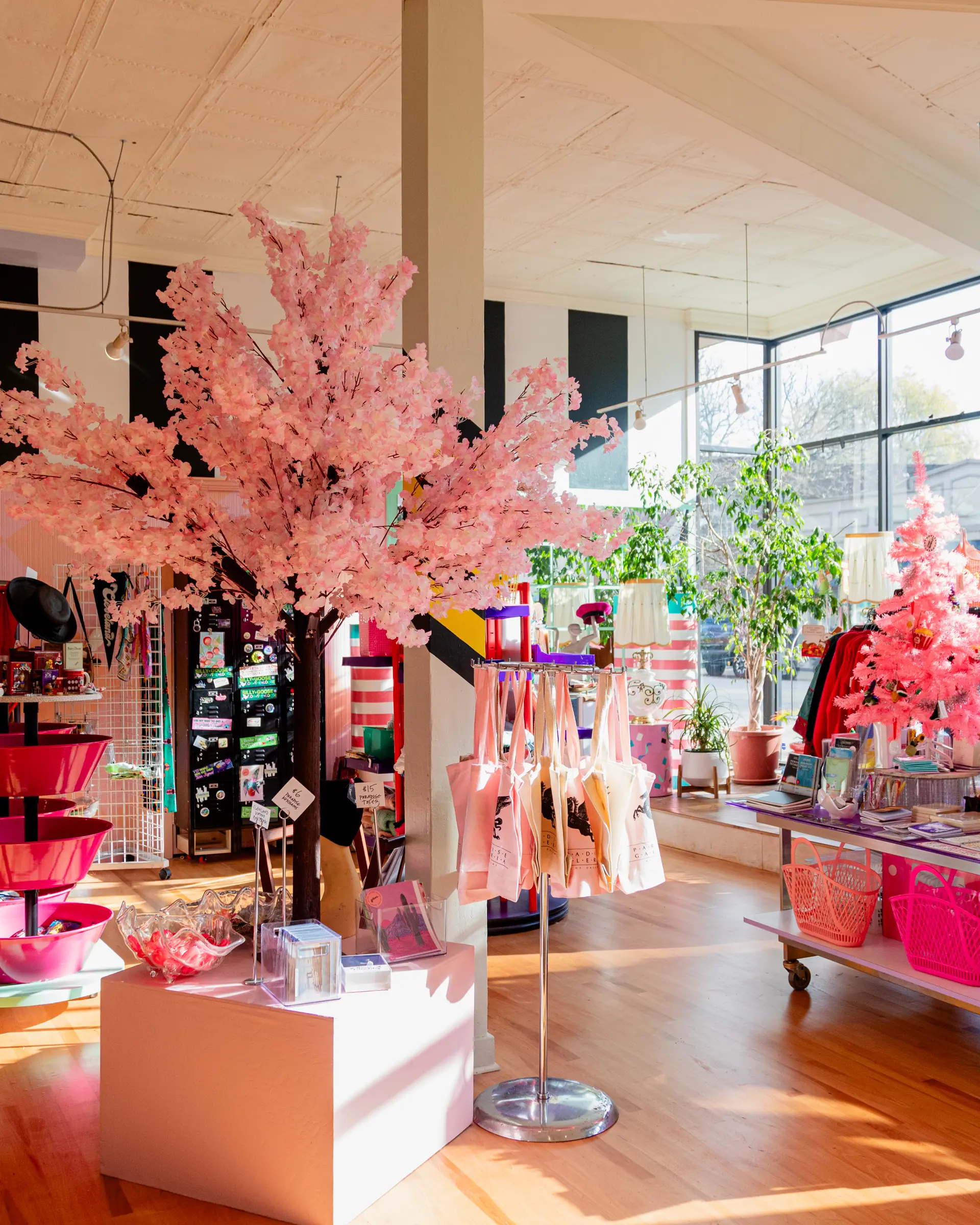 Paradise Galleria in Ohio City