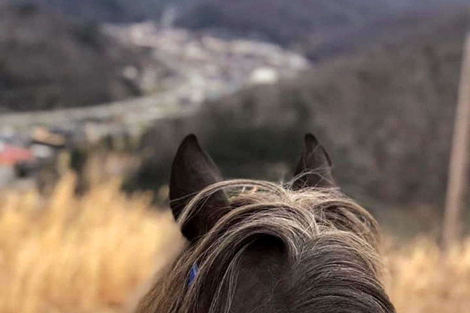 View from the Muddy Boots Horseback Tour in Pikeville, Kentucky (photo courtesy of Tour Pike County) View from the Muddy Boots Horseback Tour in Pikeville, Kentucky (photo courtesy of Tour Pike County)