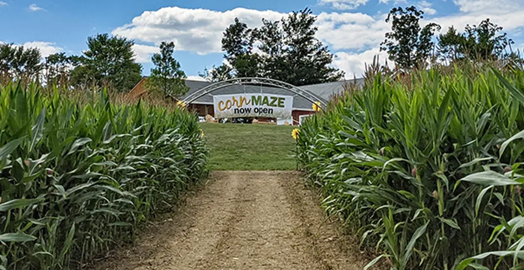 Courtesy Lake Metroparks