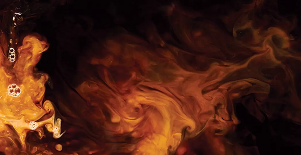 Courtesy Jamie Holt, Courtesy Daniel Lozada, Courtesy Mojo's Coffee and More, Courtesy Lavendar Swan, Courtesy Sky Photography, Emiley Dahl, Courtesy Blue Sky Brews